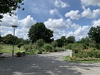 Europa Rosarium in Sangerhausen (Foto: Eva Maria Wiegand)
