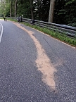 Folgenschwerer Motorradunfall im Kyffh&auml;user (Foto: Feuerwehr Bad Frankenhausen/SD)