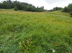 Spaziergang am Stausee (Foto: Familie Friedling)