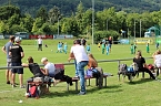 BSV Eintracht Sondershausen feiert 30. j&auml;hriges Jubil&auml;um (Foto: Eva Maria Wiegand)
