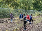 Arbeitseinsatz im Affenwald (Foto: privat)