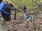 Arbeitseinsatz im Affenwald (Foto: privat)