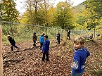 Arbeitseinsatz im Affenwald (Foto: privat)