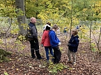 Arbeitseinsatz im Affenwald (Foto: privat)
