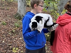 Arbeitseinsatz im Affenwald (Foto: privat)