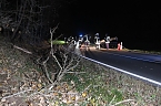 Verkehrsunfall im Kyffh&auml;usrkreis (Foto: S.Dietzel)