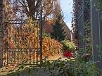 Herbstimpressionen (Foto: Eva Maria Wiegand)