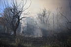 Laubenbrand in Sondershausen (Foto: Silvio Dietzel) Laubenbrand in Sondershausen (Foto: Silvio Dietzel)