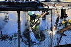 Laubenbrand in Sondershausen (Foto: Silvio Dietzel) Laubenbrand in Sondershausen (Foto: Silvio Dietzel)