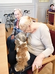 Kuschelstunde in Pflegeheim Schloss Sophie von K&uuml;hn (Foto: Novalis Diakonieverein )