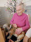 Kuschelstunde in Pflegeheim Schloss Sophie von K&uuml;hn (Foto: Novalis Diakonieverein )