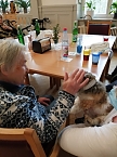 Kuschelstunde in Pflegeheim Schloss Sophie von K&uuml;hn (Foto: Novalis Diakonieverein )