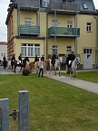 Archiv-Novalisritt 2019 (Foto: K.Krausholz)