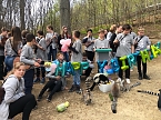 Affengeburtstag und Putzaktion im Affenpark Strau&szlig;berg (Foto: S. Dietzel)