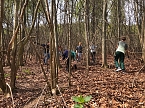 Affengeburtstag und Putzaktion im Affenpark Strau&szlig;berg (Foto: S. Dietzel)