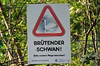 Sie br&uuml;ten noch! (Foto: Peter Blei)