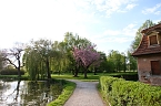 Sie br&uuml;ten noch! (Foto: Peter Blei)