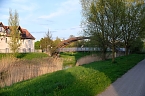 Sie br&uuml;ten noch! (Foto: Peter Blei)
