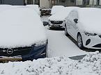 Spaziergang im Schnee (Foto: T.Leipold)