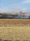 Auto setzt Stoppelfeld bei Seega in Brand  (Foto: Feuerwehr/ Silvio Dietzel)