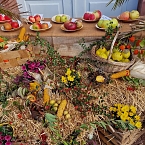Bild: Obstsortentag ( Archiv 2022) (Foto: Karsten Stiehler)