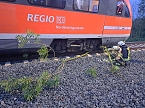 Bahn kollidiert mit Ästen (Foto: S. Dietzel) Bahn kollidiert mit Ästen (Foto: S. Dietzel)