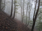 Der Frauenberg-Trai (Sondershausen) ist ein Familienerlebniswanderweg mit sieben verschiedene Erlebnisstationen (Foto: Janine Skara)