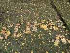 Gedenken an die Pogromnacht 1938 auf dem J&uuml;dischen Friedhof in Sondershausen (Foto: Janine Skara)