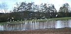Wasser auf den Feldern der Goldenen Aue (Foto: Ulrich Reinboth) Wasser auf den Feldern der Goldenen Aue (Foto: Ulrich Reinboth)