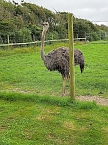 Urlaub in D&auml;nemark (Foto: M. H&ouml;xtermann)