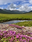 Isle of Skye in Schottland  (Foto: Ivonne Koch)