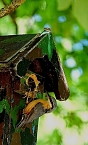 Wundersch&ouml;ne Tierwelt (Foto: Sophie Boikat)