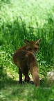 Wundersch&ouml;ne Tierwelt (Foto: Sophie Boikat)