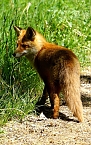 Wundersch&ouml;ne Tierwelt (Foto: Sophie Boikat)