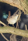 Wundersch&ouml;ne Tierwelt (Foto: Sophie Boikat)