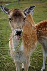 Wundersch&ouml;ne Tierwelt (Foto: Sophie Boikat)