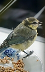 Wundersch&ouml;ne Tierwelt (Foto: Sophie Boikat)