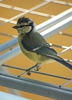Wundersch&ouml;ne Tierwelt (Foto: Sophie Boikat)
