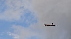 Wieder mal abgehoben (Foto: nnz)