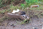 T&ouml;dlicher Unfall am Vormittag (Foto: S.Dietzel)