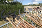 Nachstellung der Bauernschlacht bei Bad Frankenhausen (Foto: agl)