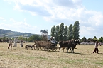 Nachstellung der Bauernschlacht bei Bad Frankenhausen (Foto: agl)