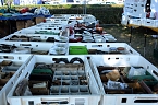 Impressionen vom Emmenrausch 2025 (Foto: Karsten Thorhauer)