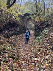 Der Hainleite-Wanderverein unterwegs im November  (Foto: Wolfgang Lehmann)