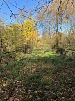 Der Hainleite-Wanderverein unterwegs im November  (Foto: Wolfgang Lehmann)