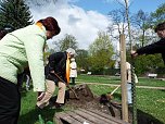 Baum gepflanzt (Foto: Karl-Heinz Herrmann)