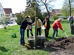 Baum gepflanzt (Foto: Karl-Heinz Herrmann)