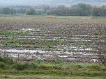 Hochwasser ohne Regen? (Foto: Karl-Heinz Herrmann)
