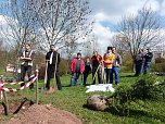 Baum des Jahres gepflanzt (Foto: Karl-Heinz Herrmann)