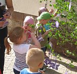 Zum Fest geschmückt (Foto: Stadtmarketing Bad Frankenhausen) Zum Fest geschmückt (Foto: Stadtmarketing Bad Frankenhausen)